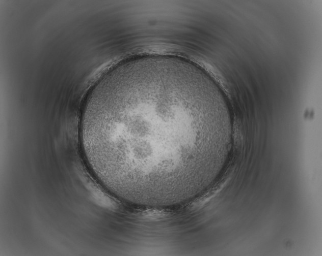 X0000090780445200708031718