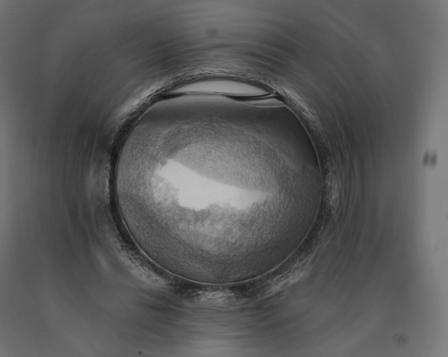 X0000090780446200708031718