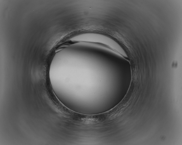 X0000090780448200708031718