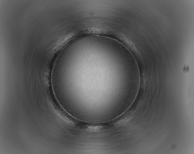 X0000090780450200708031718