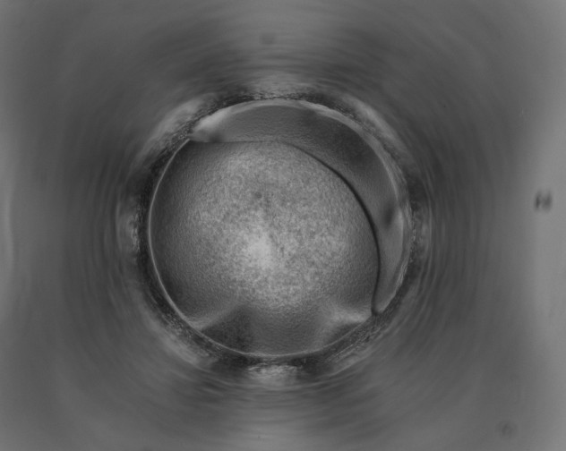X0000090780452200708031718