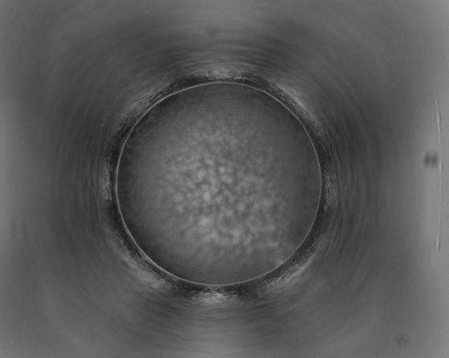 X0000090780453200708031719