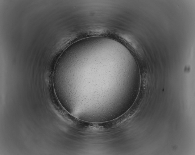 X0000090780455200708031719