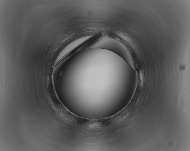X0000090780456200708031719