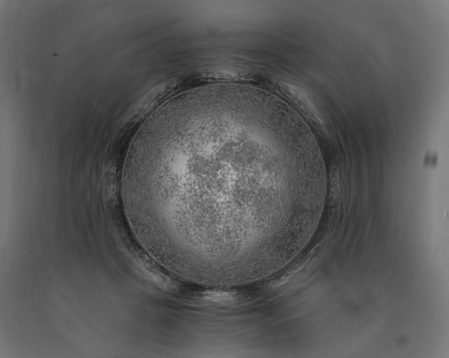 X0000090780457200708031719