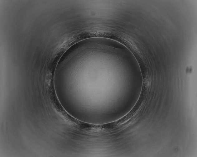 X0000090780458200708031719
