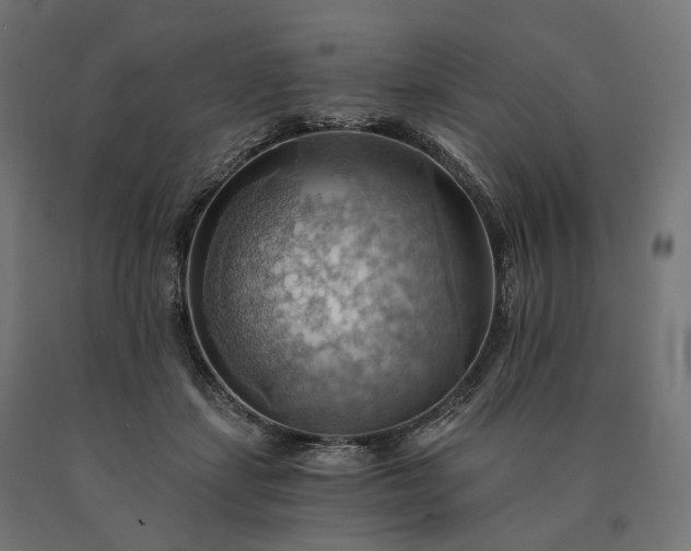 X0000090780459200708031719