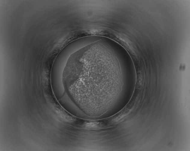 X0000090780461200708031719