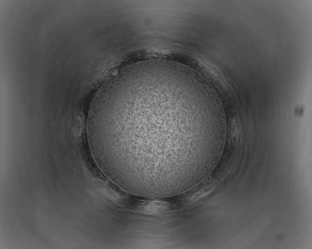 X0000090780463200708031719