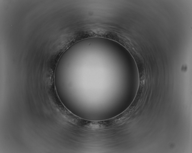 X0000090780464200708031719