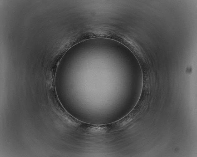 X0000090780465200708031719