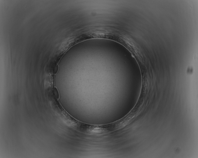 X0000090780467200708031719