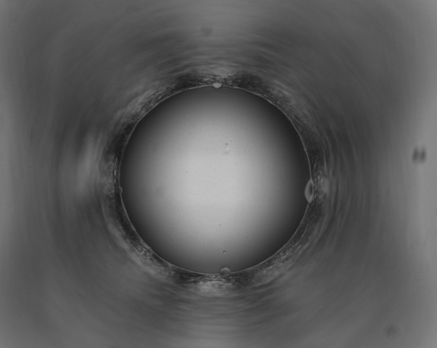 X0000090780468200708031719