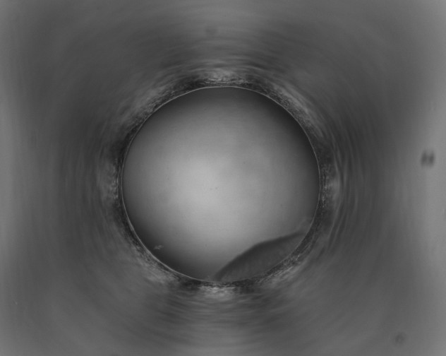 X0000090780469200708031719