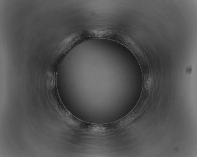 X0000090780471200708031719