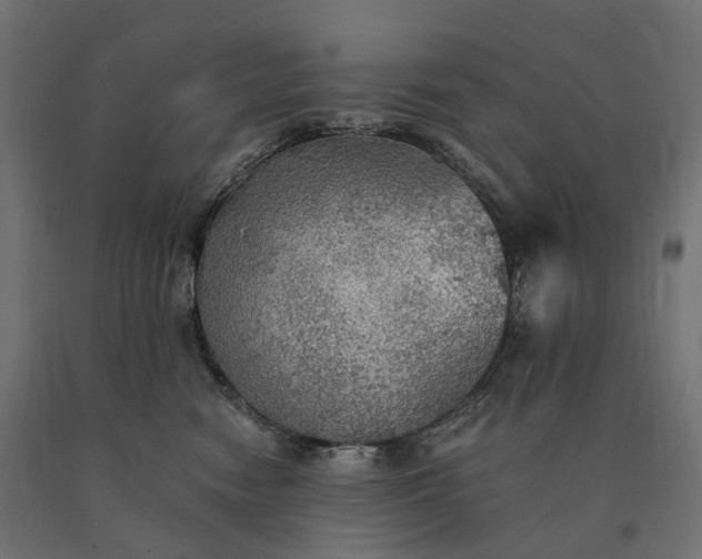 X0000090780474200708031719
