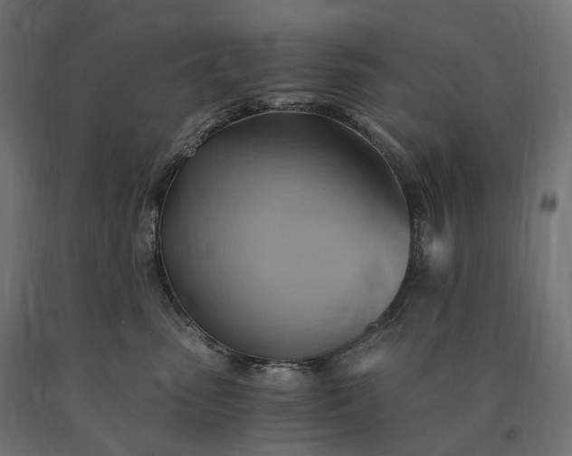 X0000090780475200708031719