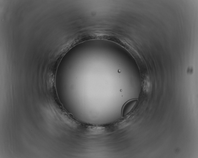 X0000090780476200708031719