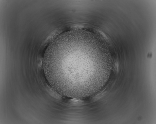 X0000090780477200708031719