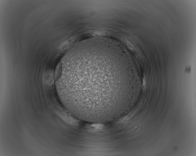 X0000090780478200708031719