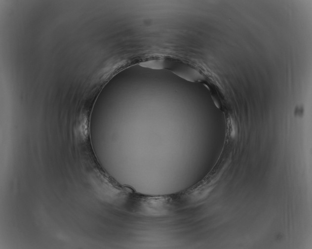 X0000090780479200708031719