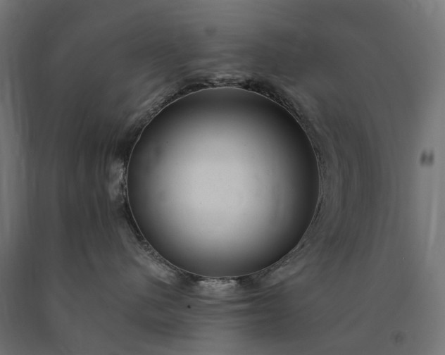 X0000090780480200708031719