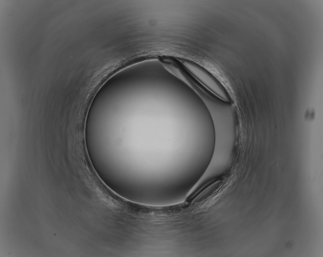 X0000090780481200708031718