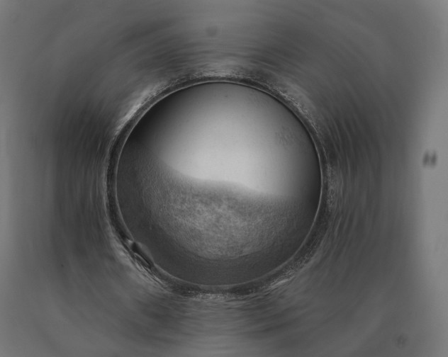 X0000090780482200708031718