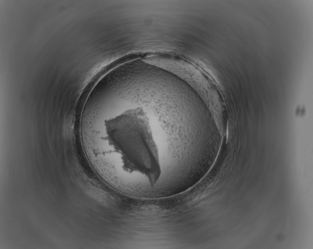 X0000090780483200708031718
