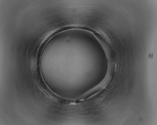 X0000090780484200708031718