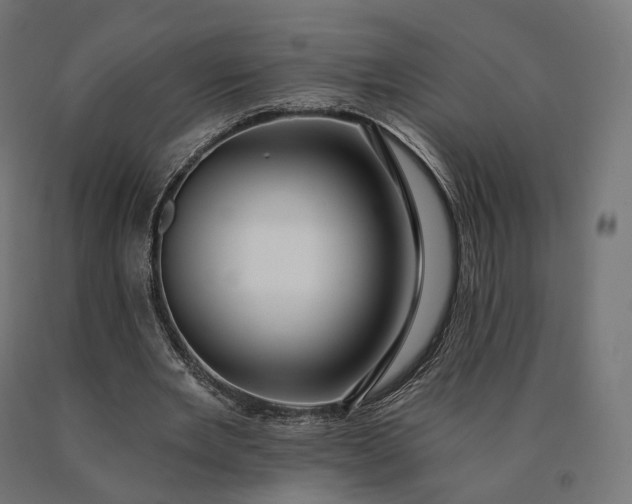 X0000090780485200708031718