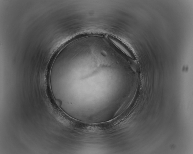 X0000090780487200708031718