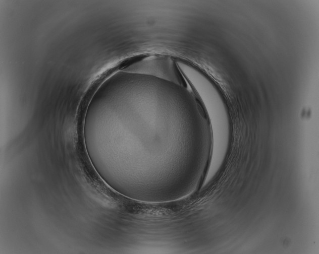 X0000090780488200708031718
