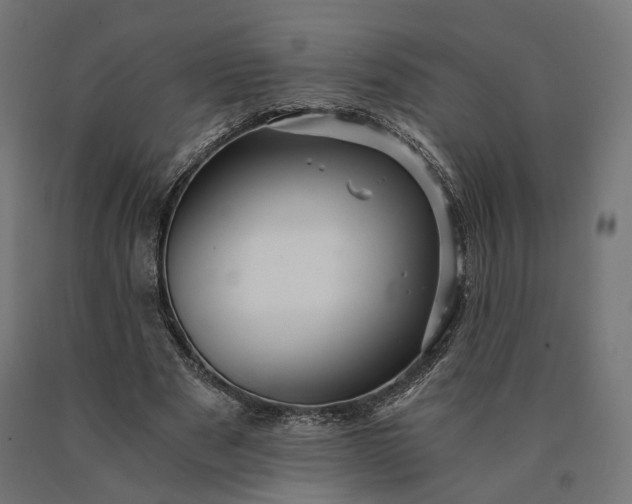 X0000090780489200708031718
