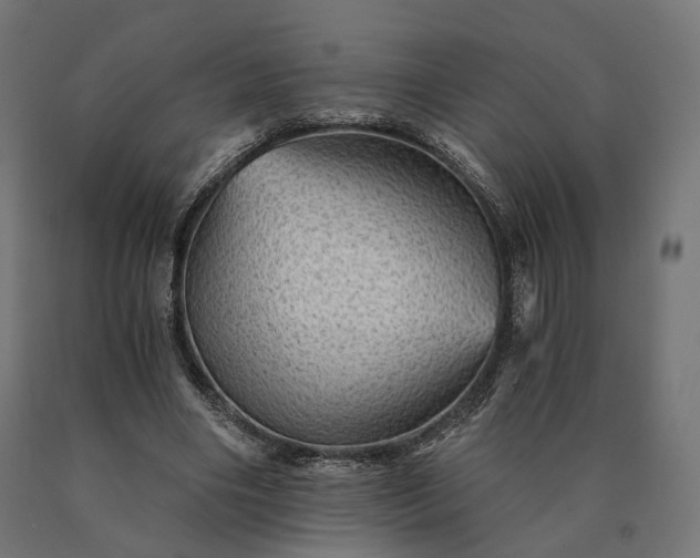 X0000090780490200708031718