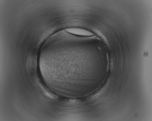 X0000090780493200708031718