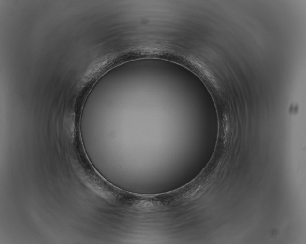 X0000090780494200708031718