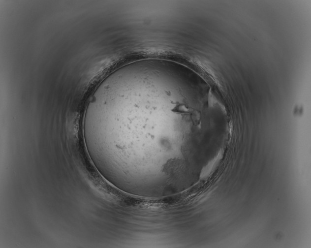 X0000090780495200708031718