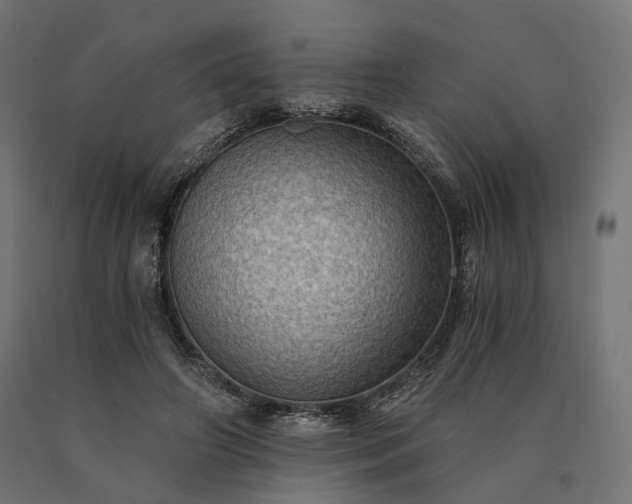 X0000090780498200708031718