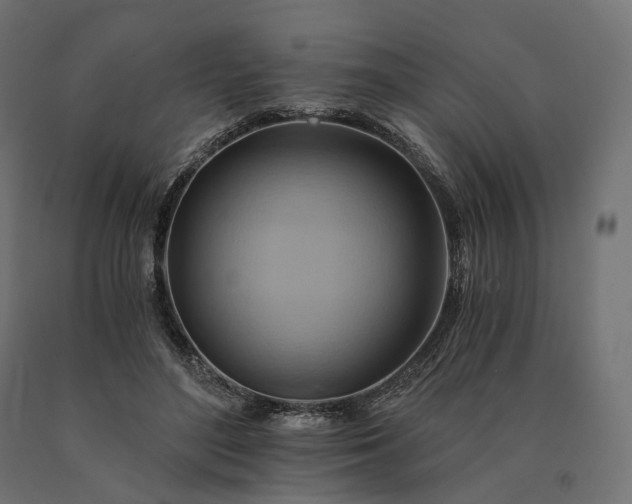 X0000090780500200708031718
