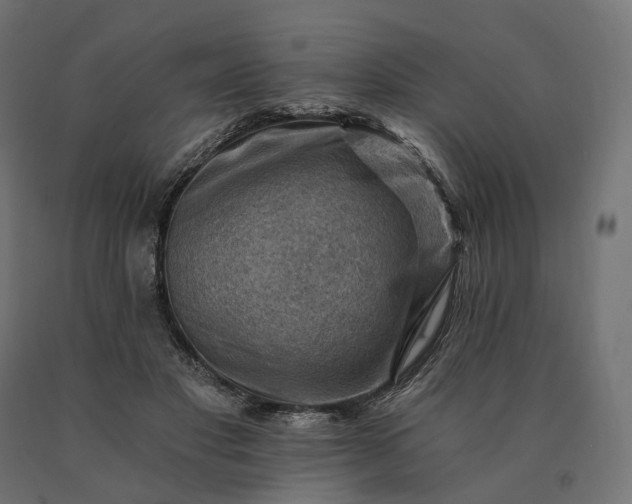 X0000090780501200708031718