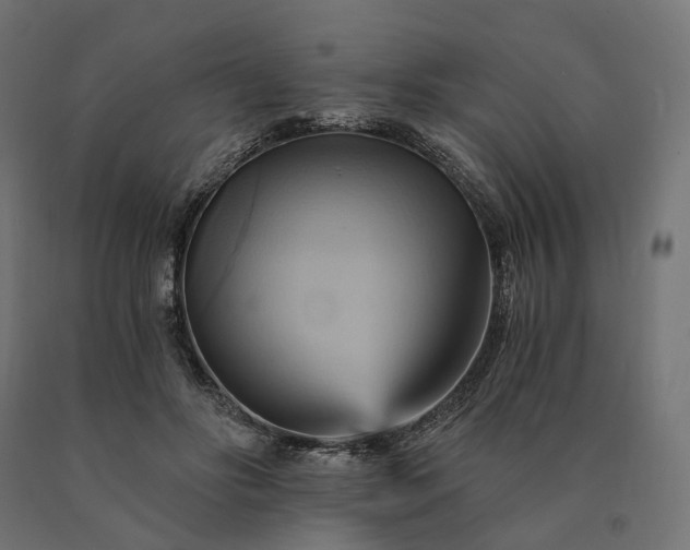 X0000090780502200708031718