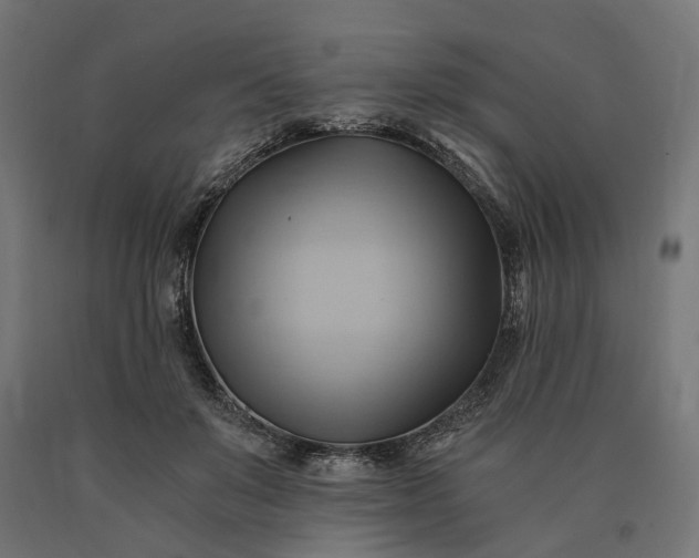 X0000090780503200708031718