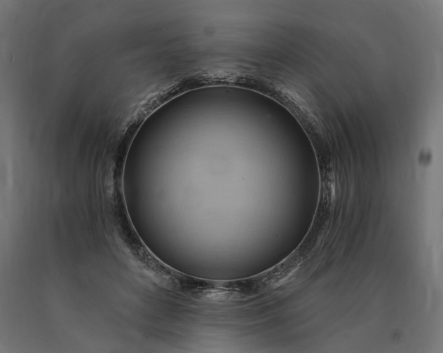 X0000090780504200708031718