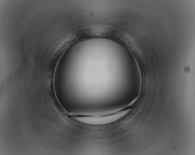 X0000090780505200708031718