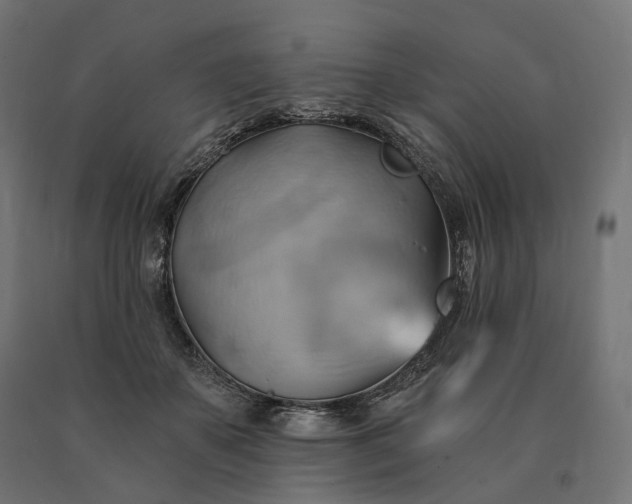 X0000090780507200708031718