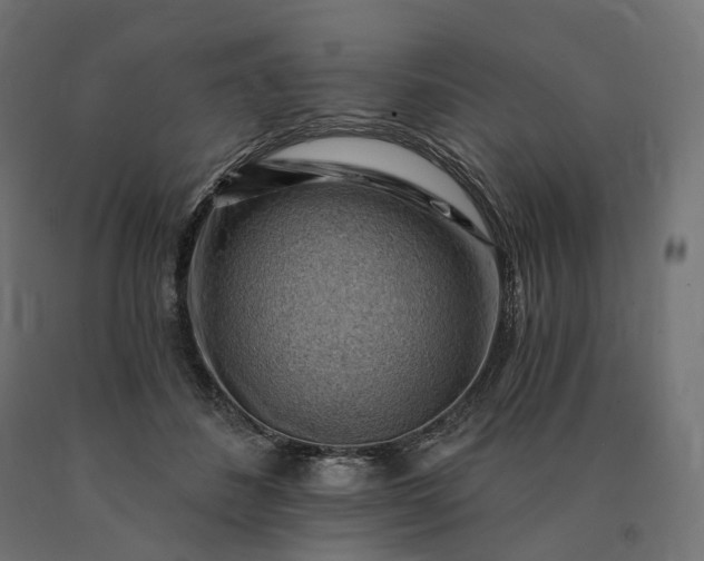 X0000090780508200708031718