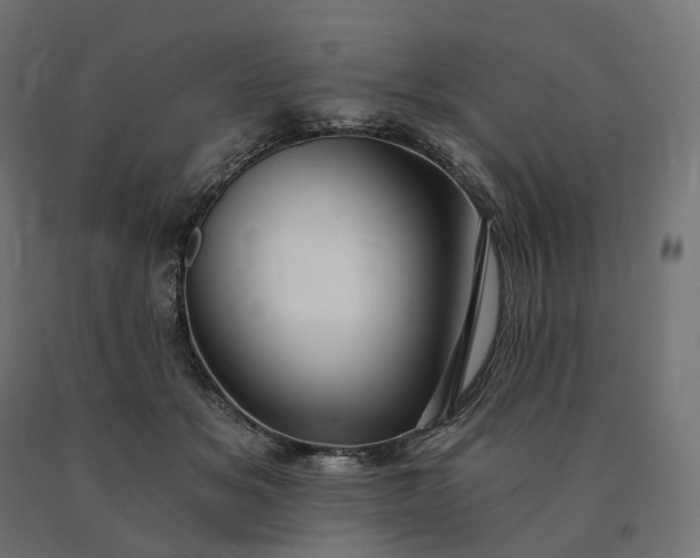 X0000090780509200708031718