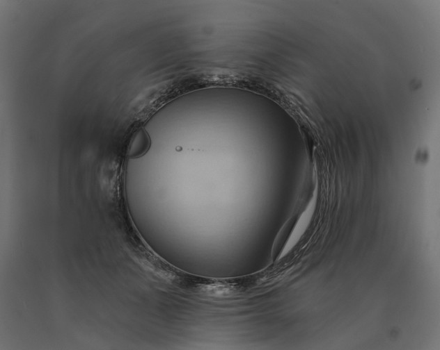 X0000090780511200708031718