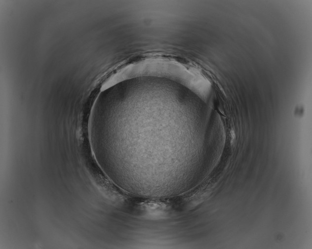 X0000090780512200708031718